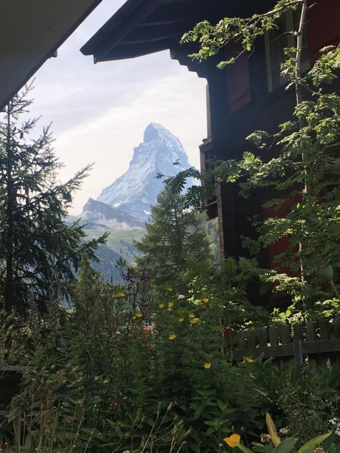 Mountain Apartments Zermatt Nr 6 Buitenkant foto